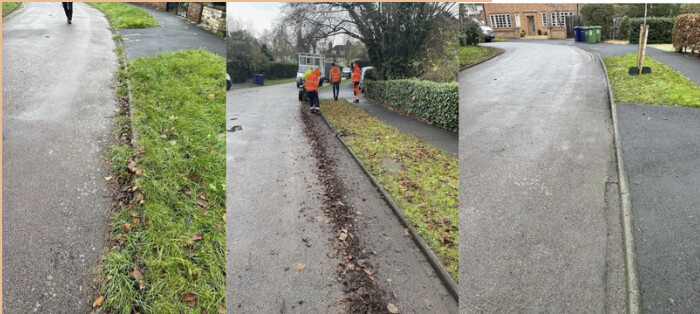 Case Study: Why Cambridge City Council's Herbicide Reduction Plan will work - Cover Image